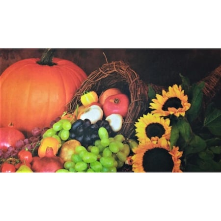 Custom Printed Rugs DM 80 Sunflower Pumpkin Non Slip Indoor Door Mat 27 x 18 in DM  80